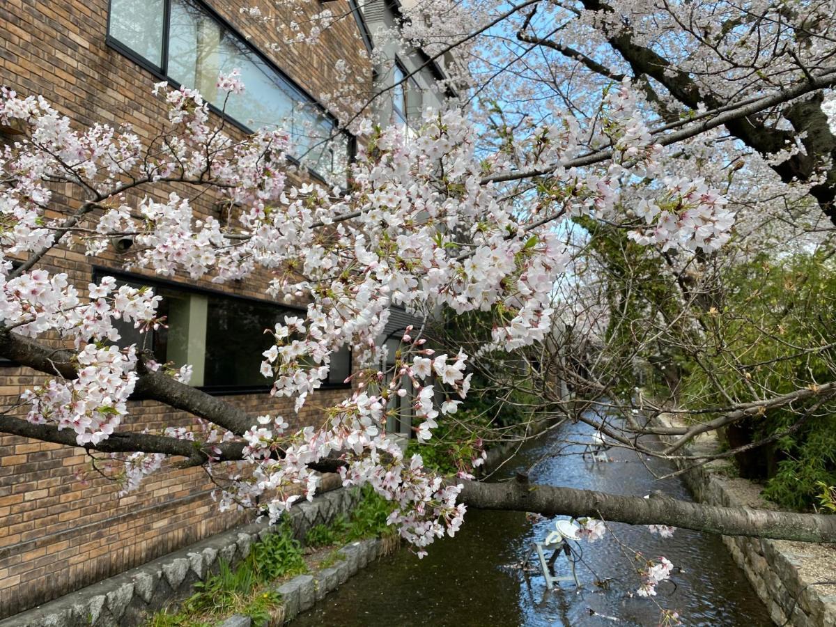 Rinn Shijo Takase River North Kiotó Kültér fotó